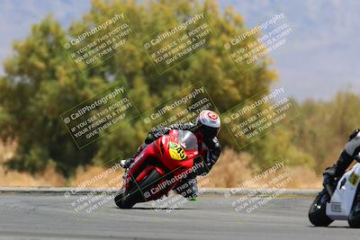 media/May-15-2022-SoCal Trackdays (Sun) [[33a09aef31]]/Turn 7 (1145am)/